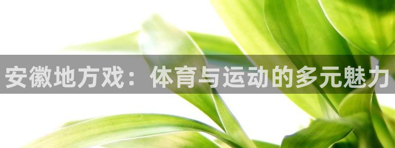 oety欧亿：安徽地方戏：体育与运动的多元魅力