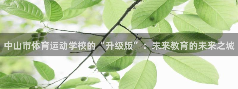 oety欧亿：中山市体育运动学校的“升级版”：未来教育的未来之城
